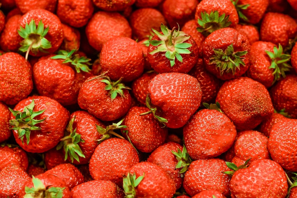 The First Strawberries: A Case for Waiting
